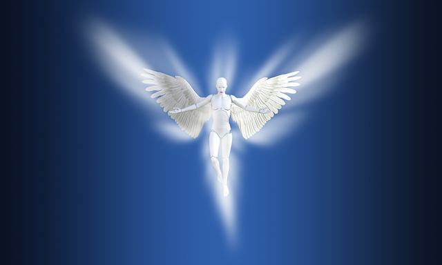 抢先视频下载2025-抢先视频2025安卓最新版本v4.0.0-爱酱手游网