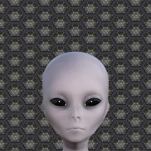手机扫码安装每日大赛聚集地主题大赛R星