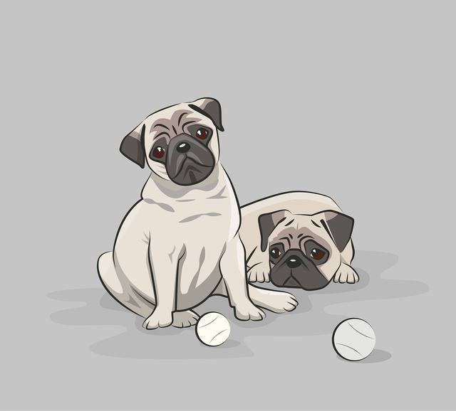 饥饿鲨进化最新破解版