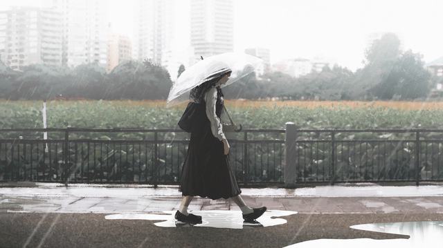 海角原创网安卓版二维码