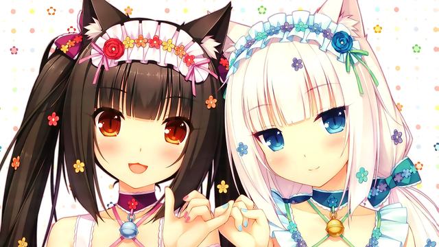 《今日说法》 20260604 被遥控的重量