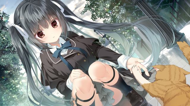 91N精品官方版-91N精品最新版vv26安卓版_nekohe安卓网安装正版最新版v6.9.7.6截图0